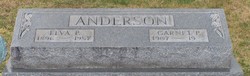 Elva Perry Anderson 