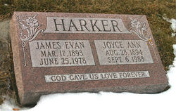 Joyce Ann <I>Rich</I> Harker 