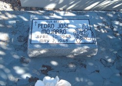 Pedro Jose Mojarro 