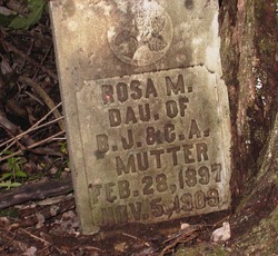 Rosa Mutter 