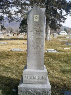 David Adamson 