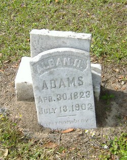 Alban Housley Adams 