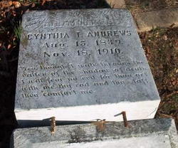 Cynthia T. Andrews 
