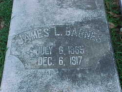 James L. Barnes 