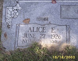 Alice Ella <I>Hurt</I> Cook 