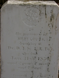 Mary Louisa Fox 