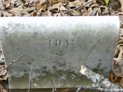 Ida Fox 