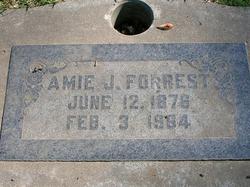 Amie J. <I>Jones</I> Forrest 
