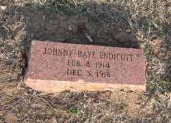 Johnny Ray Endicott 