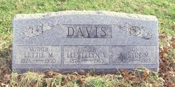 Austin M Davis 