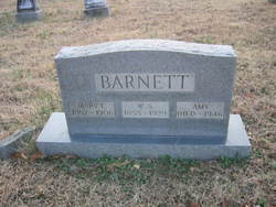 William A Barnett 