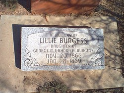 Lillie Burgess 