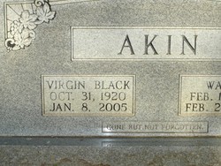 Virgin <I>Black</I> Akin 