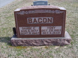 Shabe E. Bacon 