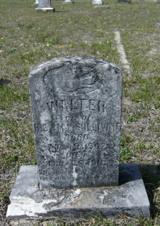 Walter Sullivan 