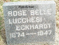 Rose Belle <I>Van Blaricom</I> Eckhardt 