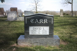 David L Carr 