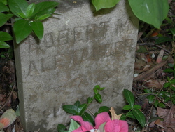 Robert M Alexander 