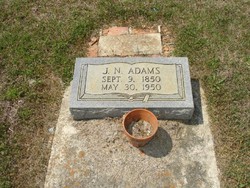J. N. Adams 