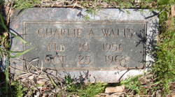 Charlie A. Watts 
