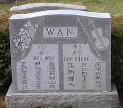 Che Chung Wan 