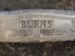 Louisa <I>Zink</I> Burns 