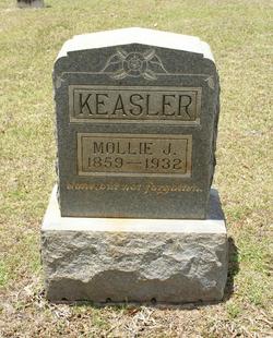 Mary J “Mollie” <I>Arendale</I> Keasler 