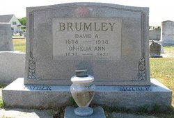 David A. Brumley 