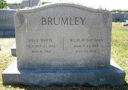 Mary Lillie <I>White</I> Brumley 