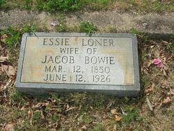 Essie <I>Loner</I> Bowie 