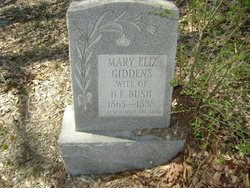Mary Elizabeth “Lizzie” <I>Giddens</I> Bush 