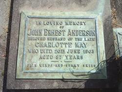 John Ernest Anderson 