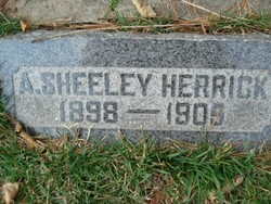 A Sheeley Herrick 