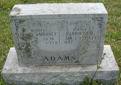 Randolph D. Adams 