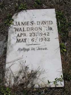 James David Waldron Jr.