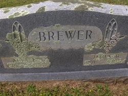 James Brown Brewer 