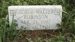 George Walter Robinson 