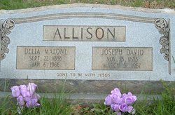 Delia Victoria <I>Malone</I> Allison 