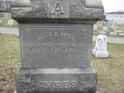 Alice E Ayers 