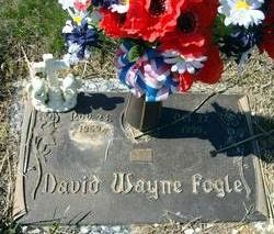 David Wayne Fogle 