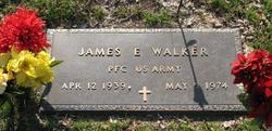 James E Walker 