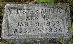 Chester Albert Adkins 