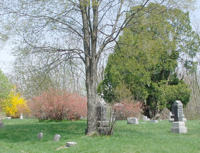 New Sugar Hill Cemetery