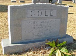 Andrew Hatcher Cole 