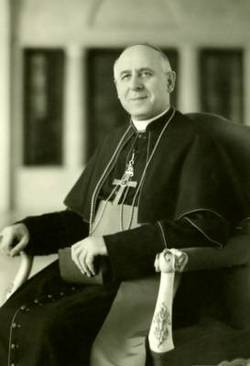 Cardinal Giovanni Umberto Colombo 
