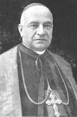 Cardinal Domenico Jorio 