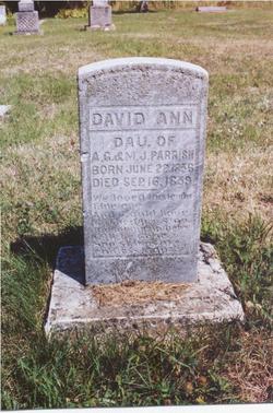 David Ann Parrish 
