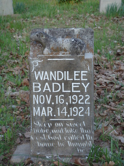Wandilee Badley 