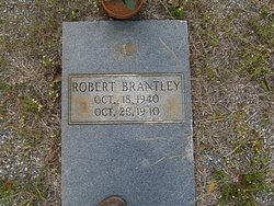 Robert Jackson Brantley 