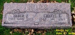 Cheryl E Hills 